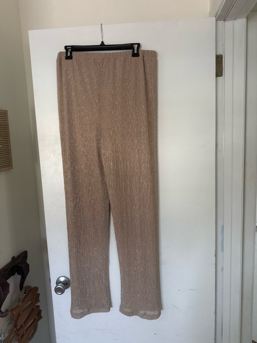 Onyx Nite Shimmery Taupe Wide-Leg Pull-On Pants